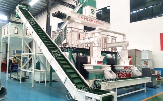 開鋸末顆粒機顆粒廠需要怎么做？