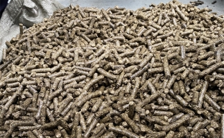 鋸末顆粒機的顆粒燃料比煤炭貴，為什么還有那么多人用？