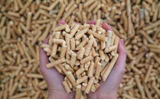 夏季儲存鋸末顆粒機生物質顆粒的方法，要認真看喲