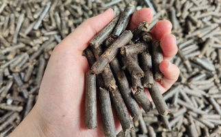 生物質顆粒燃料公司前景怎么樣，木屑顆粒機的顆粒燃料賣給誰的？