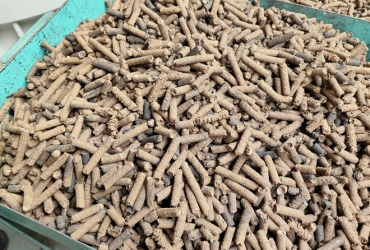 木屑顆粒機(jī)加工的顆粒燃料的環(huán)保優(yōu)勢(shì)分析